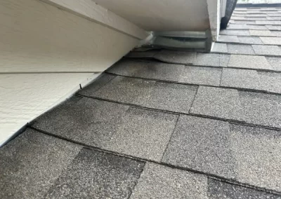 Professional Rodent Removal