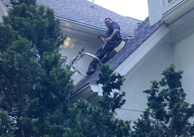 Professional Wasp Nest Removal