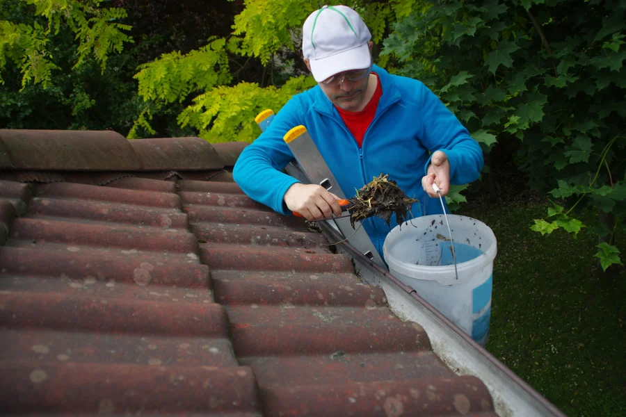 Effective Bird Control Methods for Commercial Properties Powder Springs, GA