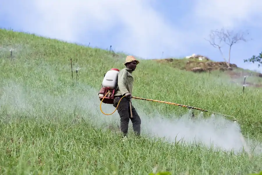 How Pest Management Protects Rescued Wildlife from Harm Powder Springs, GA