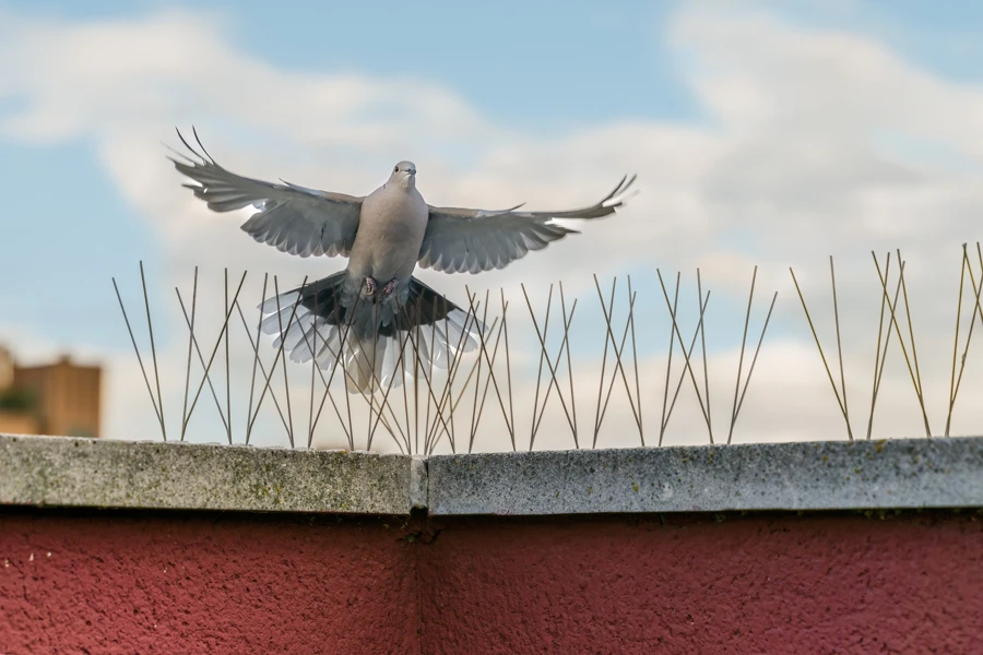How Property Inspections Prevent Wildlife Intrusions Powder Springs, GA