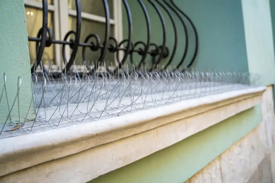 Importance of Property Inspections for Wildlife Safety Powder Springs, GA