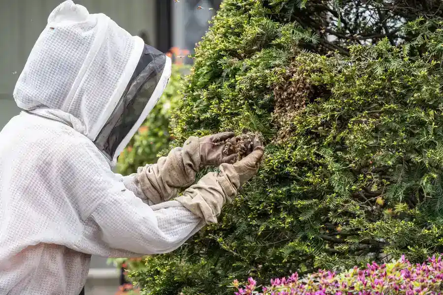 Reliable Pest Management in Powder Springs, GA